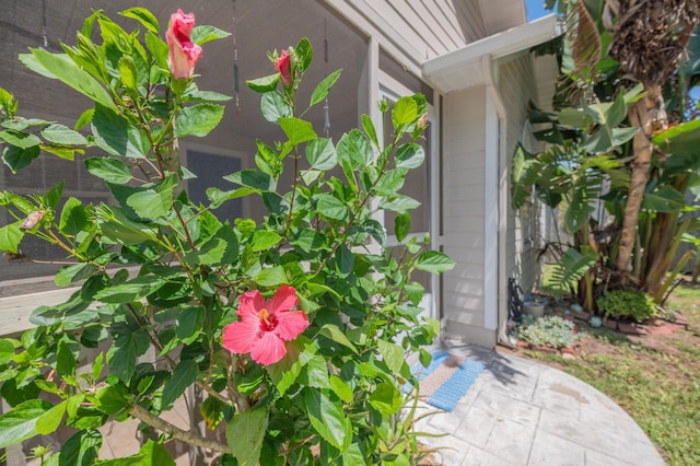6401 Brevard St, Saint Augustine, FL 32080 - photo 33