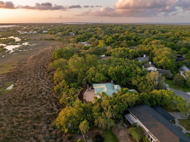 drone / aerial view