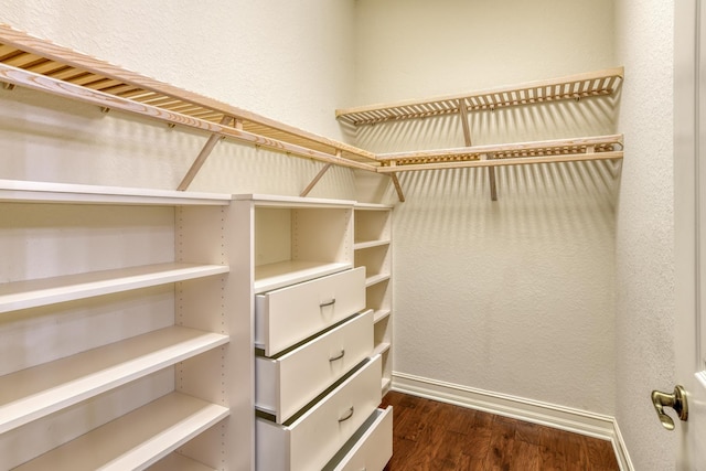 spacious closet featuring dark wood finished floors