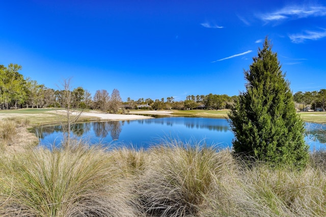 property view of water