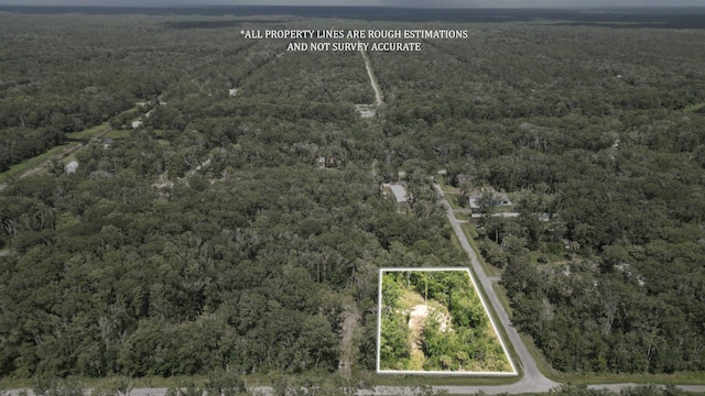 10640 Ruth Ave, Hastings, FL 32145