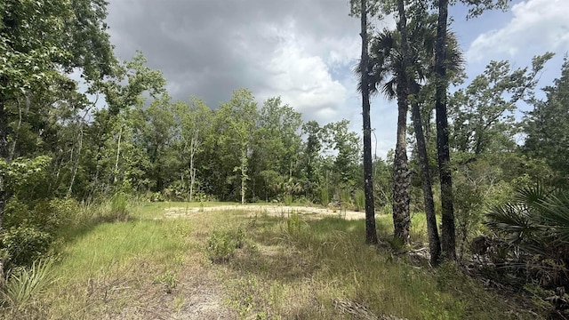 10640 Ruth Ave, Hastings, FL 32145