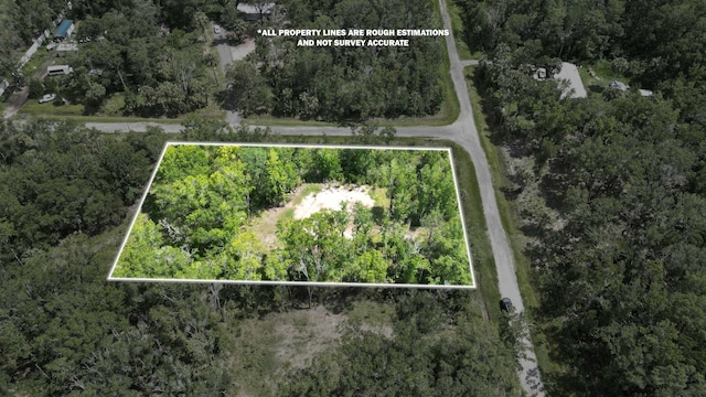10640 Ruth Ave, Hastings, FL 32145