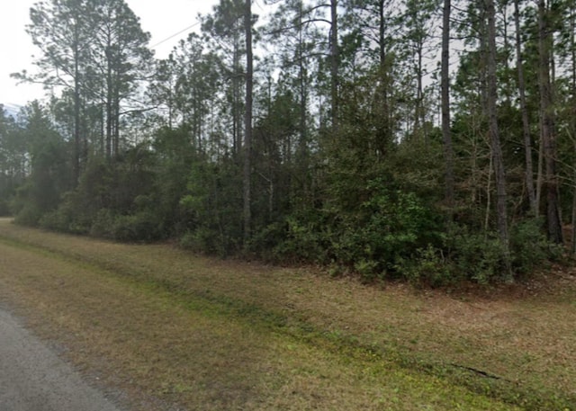 465 Dillon Ave, Hastings FL, 32145 land for sale