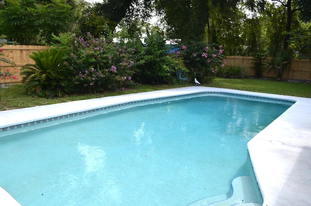 900 Deer Chase Dr, Saint Augustine, FL 32086 - photo 4