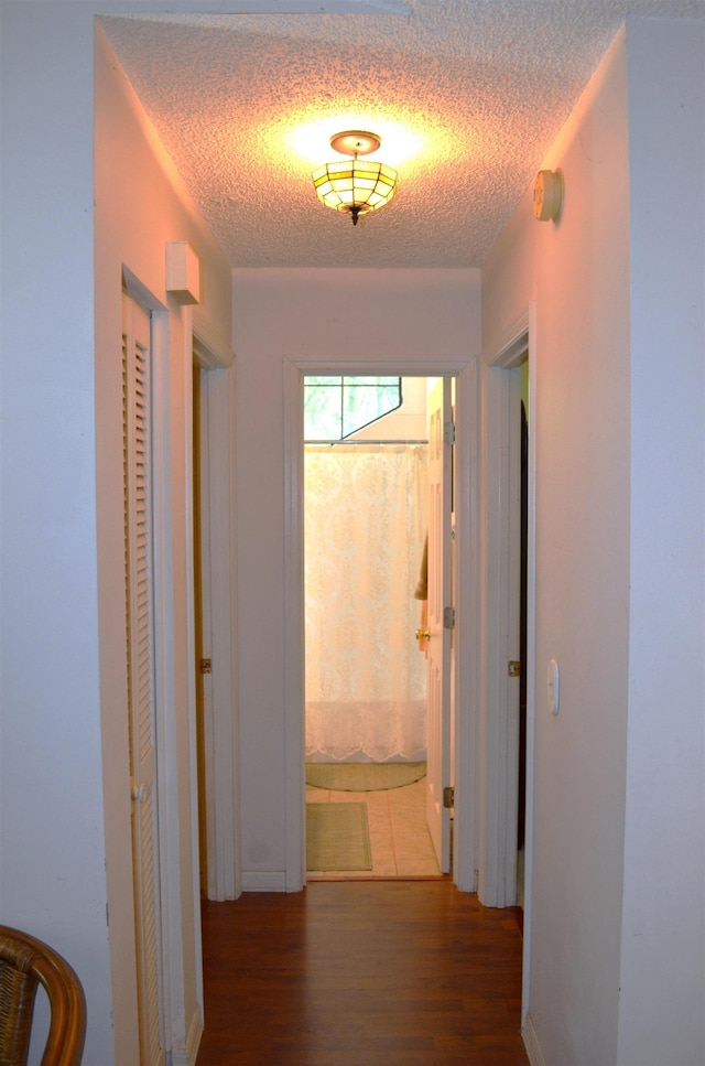 900 Deer Chase Dr, Saint Augustine, FL 32086 - photo 43