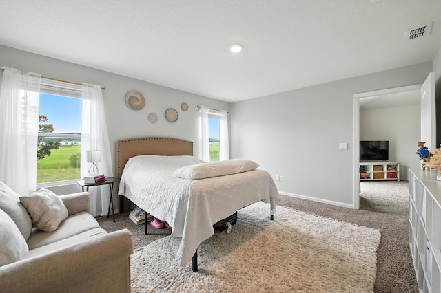 313 Caminha Rd, Saint Augustine, FL 32084 - bedroom featuring multiple windows and carpet flooring