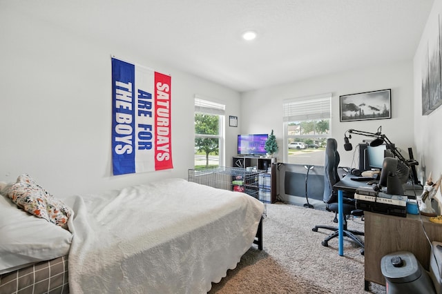 313 Caminha Rd, Saint Augustine, FL 32084 - bedroom with an office area