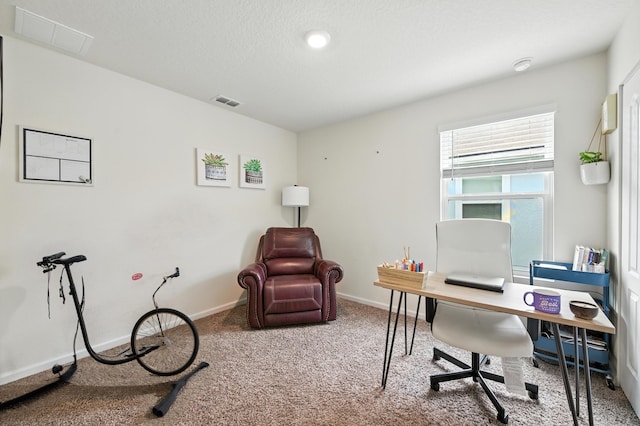 313 Caminha Rd, Saint Augustine, FL 32084 - carpeted office space with baseboards