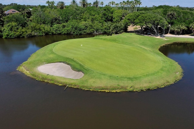 15 Cypresswood Dr, Palm Coast, FL 32137 - surrounding community featuring a water view and golf course view