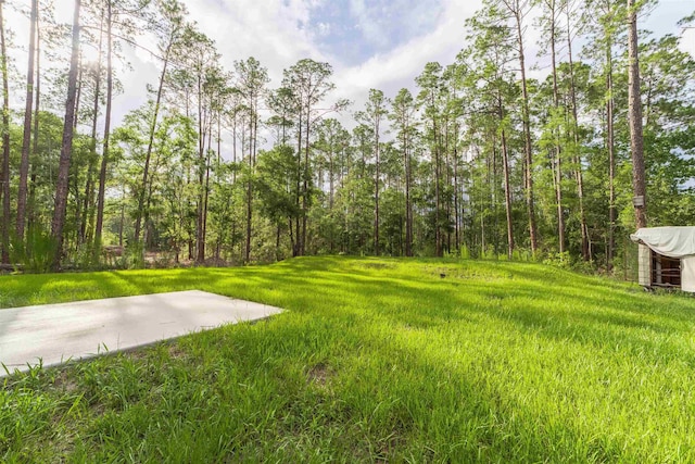 4420 Cedar Ford Blvd, Hastings, FL 32145 - view of yard with a forest view