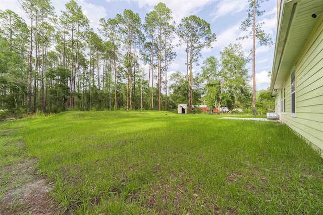 4420 Cedar Ford Blvd, Hastings, FL 32145 - view of green lawn featuring a storage unit