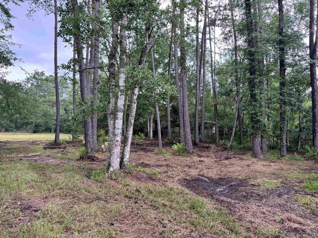 00 Harvest Way, Middleburg, FL 32086