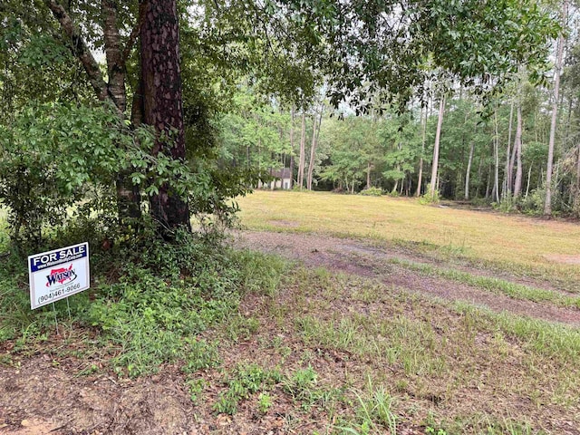 00 Harvest Way, Middleburg, FL 32086