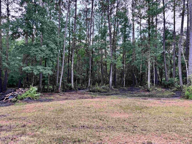00 Harvest Way, Middleburg, FL 32086