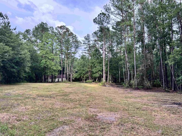 00 Harvest Way, Middleburg, FL 32086