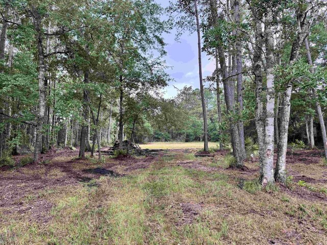 00 Harvest Way, Middleburg, FL 32086
