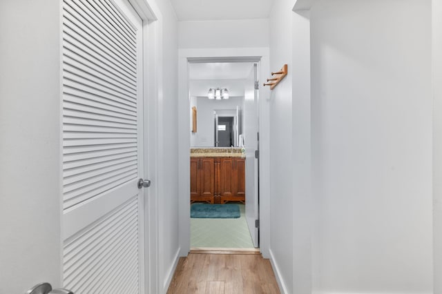 123 Bobwhite Rd, Saint Augustine, FL 32086 - hall with light wood-type flooring and baseboards