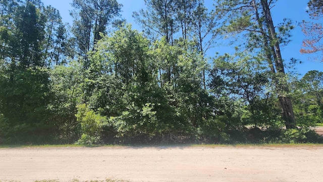 303 Palm Way, Georgetown FL, 32139 land for sale