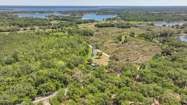 birds eye view of property with a forest view and a water view