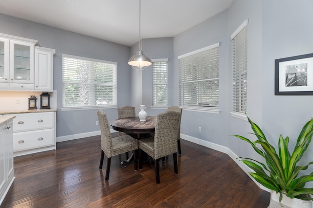 dining room with dark hardwood / wood-style flooring