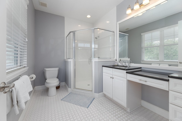 bathroom with vanity, a shower with door, and a wealth of natural light