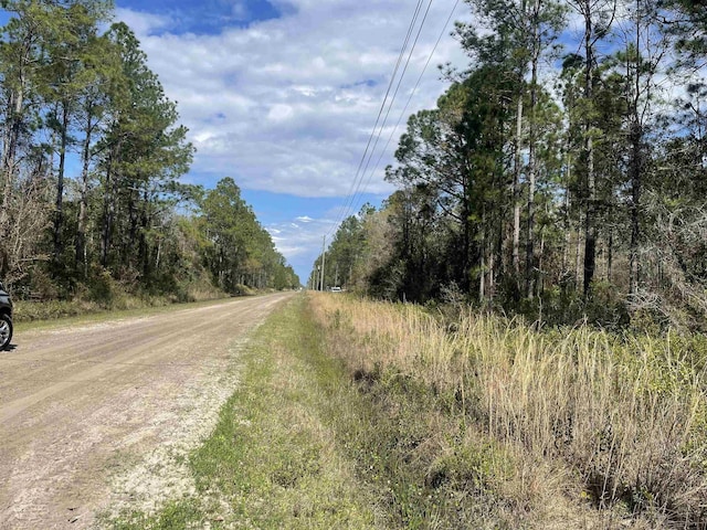 10730 Yeager Ave, Hastings FL, 32145 land for sale