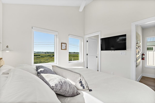 194 Riberia St, Saint Augustine, FL 32084 - bedroom with multiple windows and wood finished floors