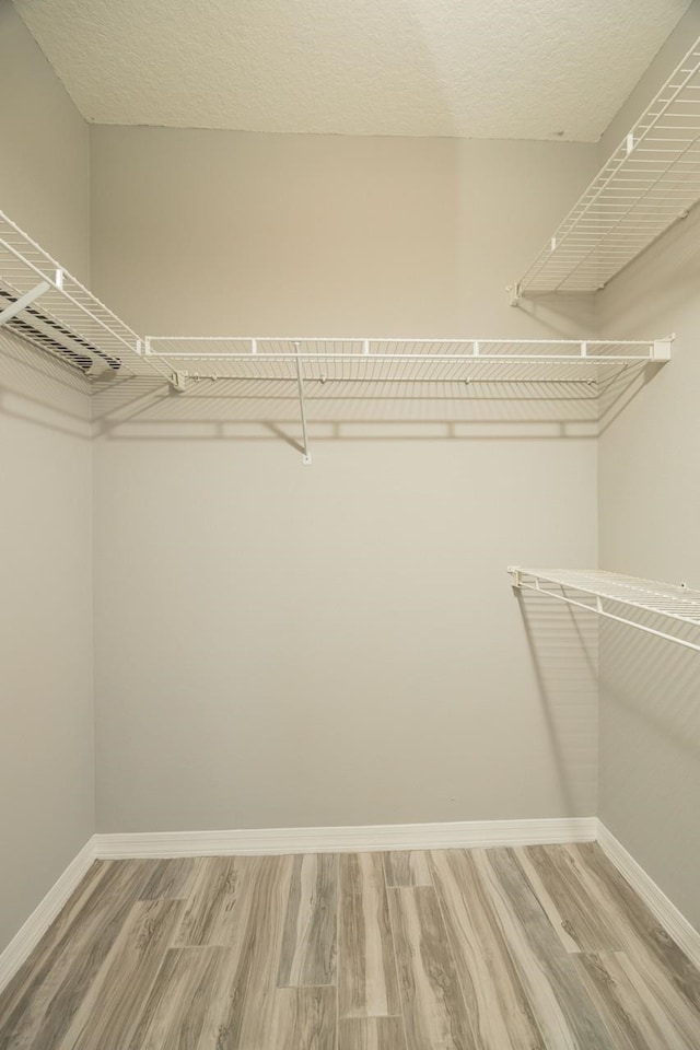 walk in closet featuring wood-type flooring