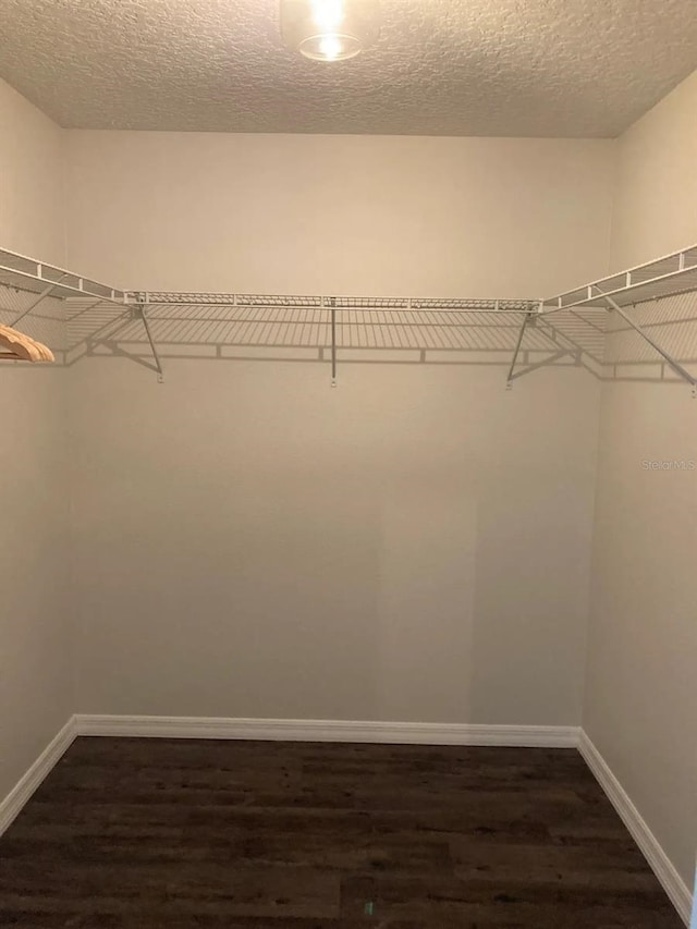 52 Fanshawe Ln, Palm Coast, FL 32137 - spacious closet featuring dark wood-style floors