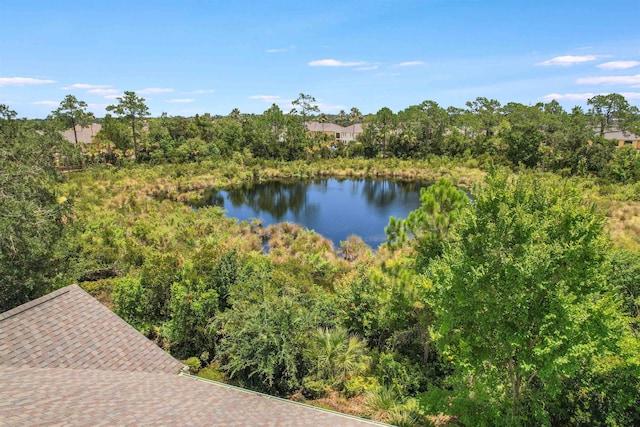 2827 Vista Cove Rd, Saint Augustine, FL 32084 - photo 39