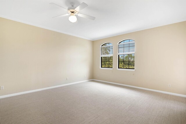 2827 Vista Cove Rd, Saint Augustine, FL 32084 - photo 16
