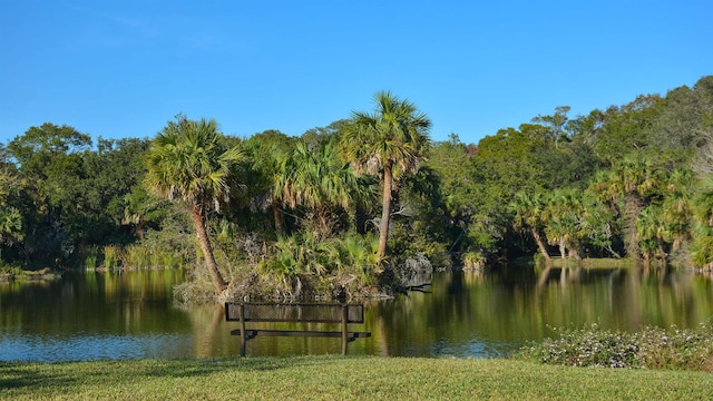 property view of water