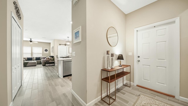 entrance foyer featuring ceiling fan and light wood-type flooring