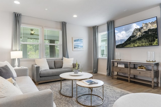 living room featuring light hardwood / wood-style floors