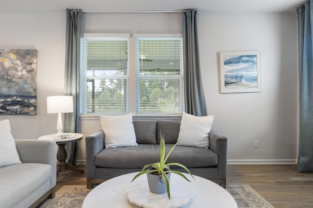 living room featuring hardwood / wood-style flooring