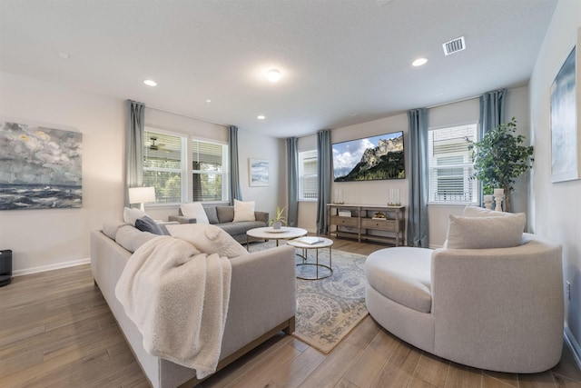 living room featuring hardwood / wood-style flooring