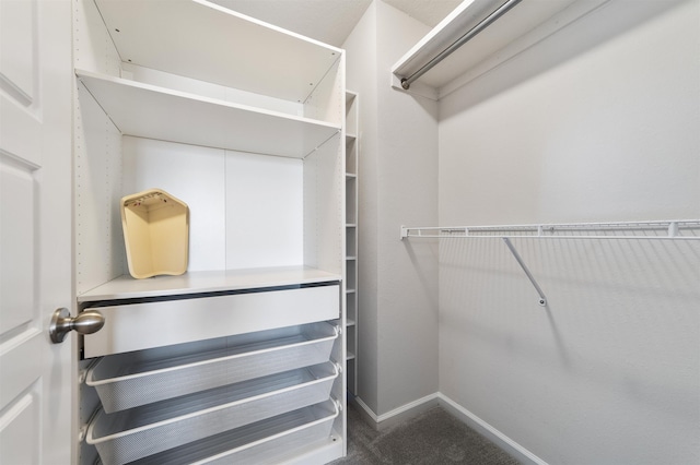 spacious closet featuring carpet flooring