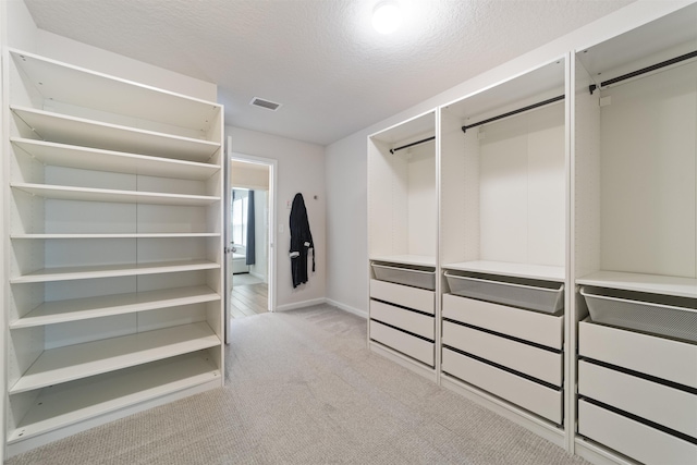 spacious closet with light carpet