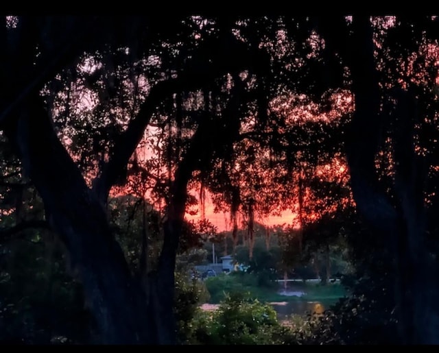 view of nature at dusk