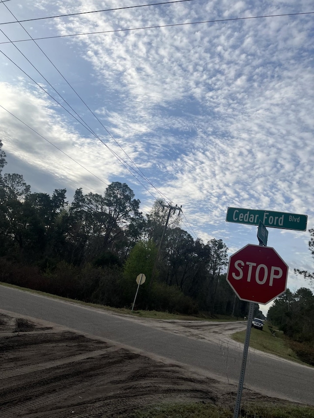 10400 Yeager Ave, Hastings, FL 32145 - photo 9