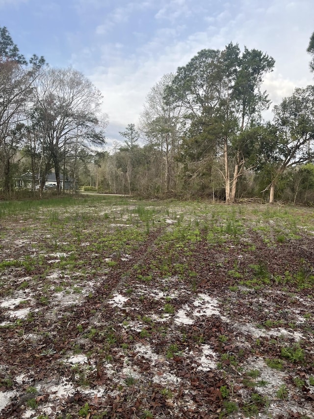 10400 Yeager Ave, Hastings FL, 32145 land for sale