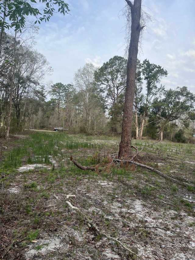 10400 Yeager Ave, Hastings, FL 32145 - photo 5