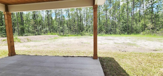 10645 Allison Ave, Hastings, FL 32145 - photo 16