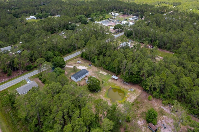 10160 Ebert Ave, Hastings, FL 32145 - view of property location with a forest