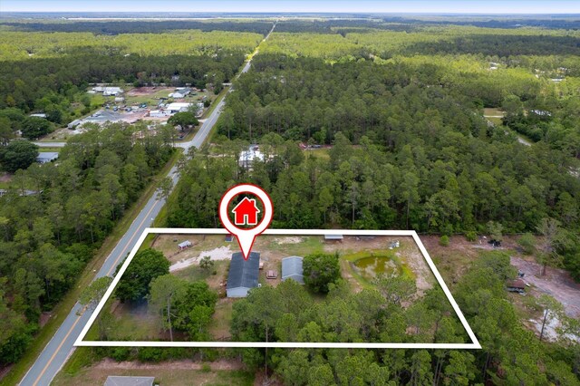 10160 Ebert Ave, Hastings, FL 32145 - view of property location featuring a heavily wooded area and property parcel outlined