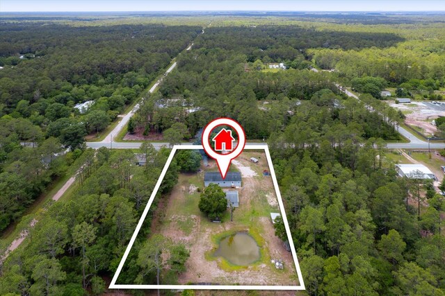 10160 Ebert Ave, Hastings, FL 32145 - aerial overview of property's location featuring a forest and property parcel outlined