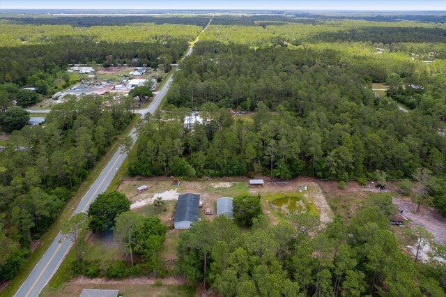 10160 Ebert Ave, Hastings, FL 32145 - aerial view of property's location featuring a heavily wooded area