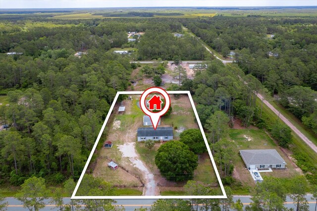 10160 Ebert Ave, Hastings, FL 32145 - aerial overview of property's location featuring a forest and property boundaries highlighted