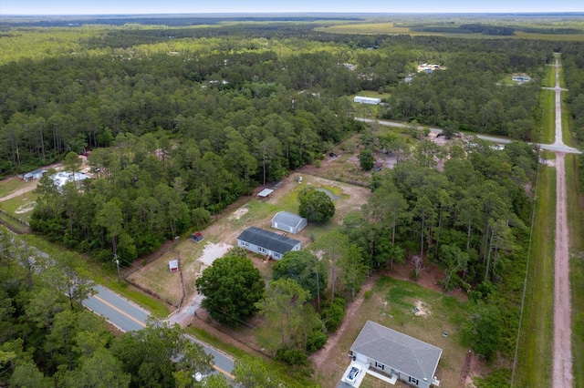 10160 Ebert Ave, Hastings, FL 32145 - aerial view of property's location featuring a forest